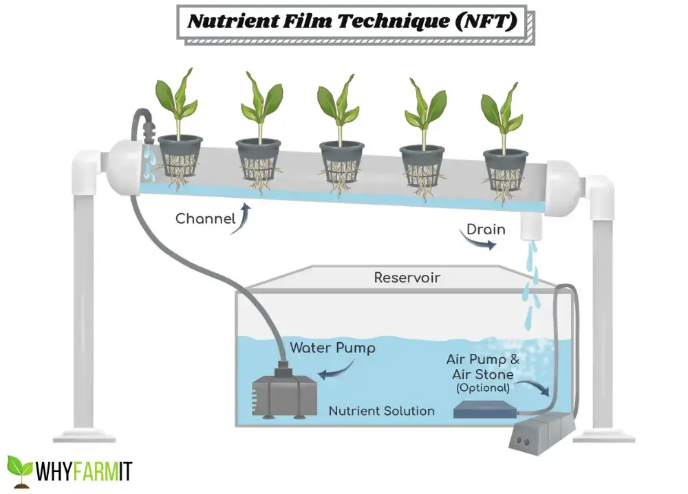 home hydroponic gardening systems NFT Diagram home hydroponic gardening systems NFT Diagram