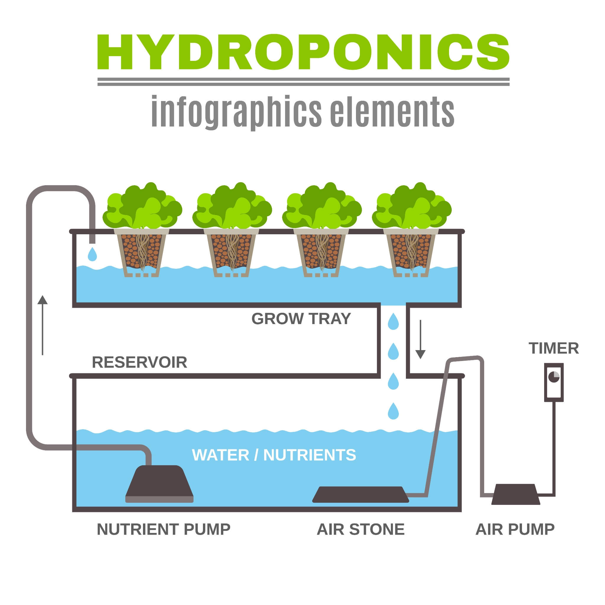 Hydroponic Gardening Ebb and Flow Diagram Hydroponic Gardening Ebb and Flow Diagram