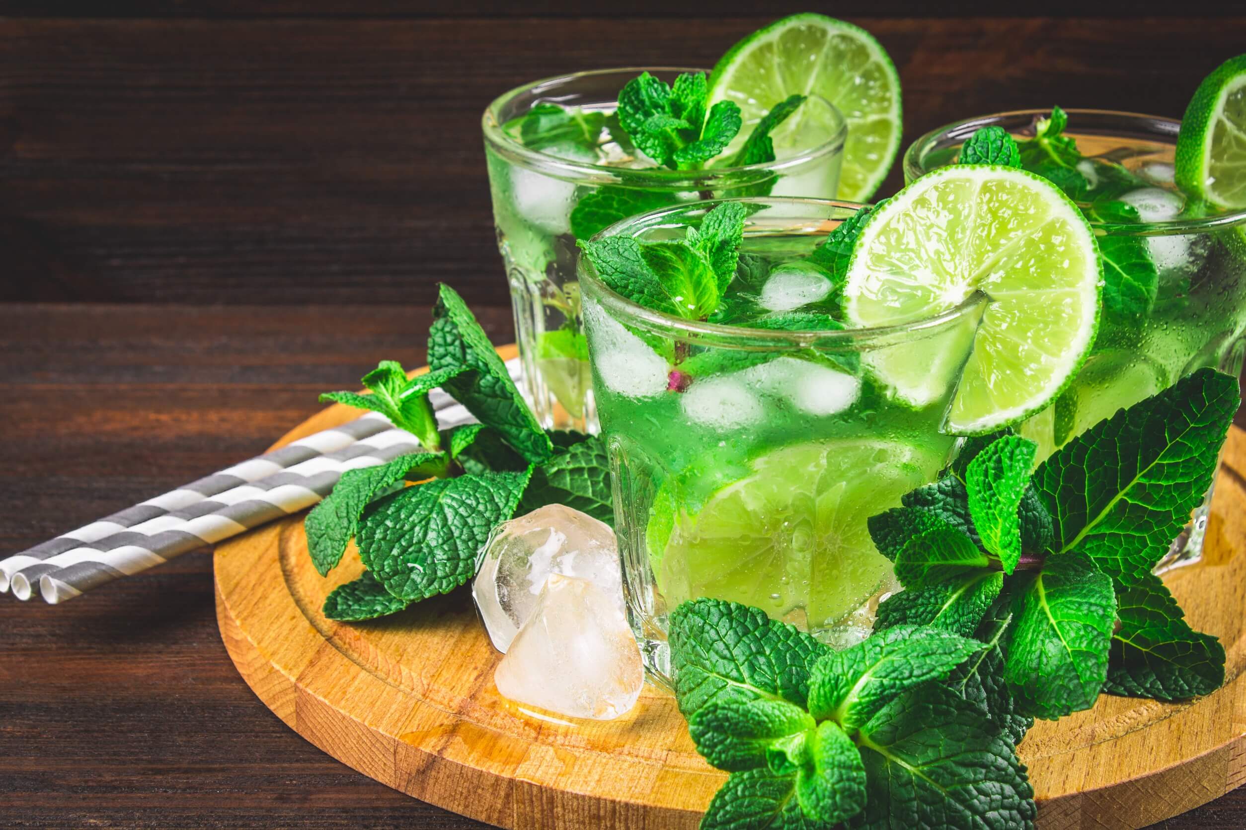 Mint Plant Care Mojito