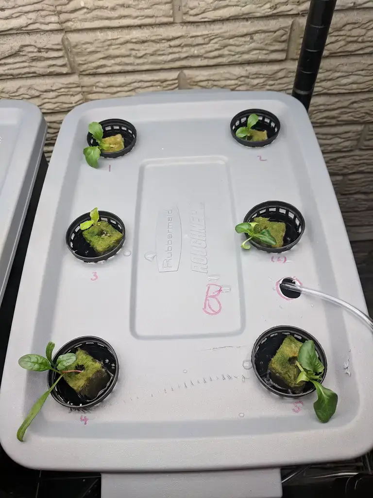 hydroponics tote hydroponics tote