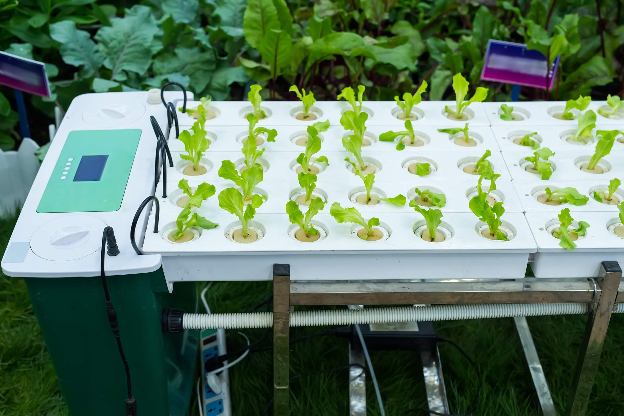 home hydroponic gardening systems NFT home hydroponic gardening systems NFT