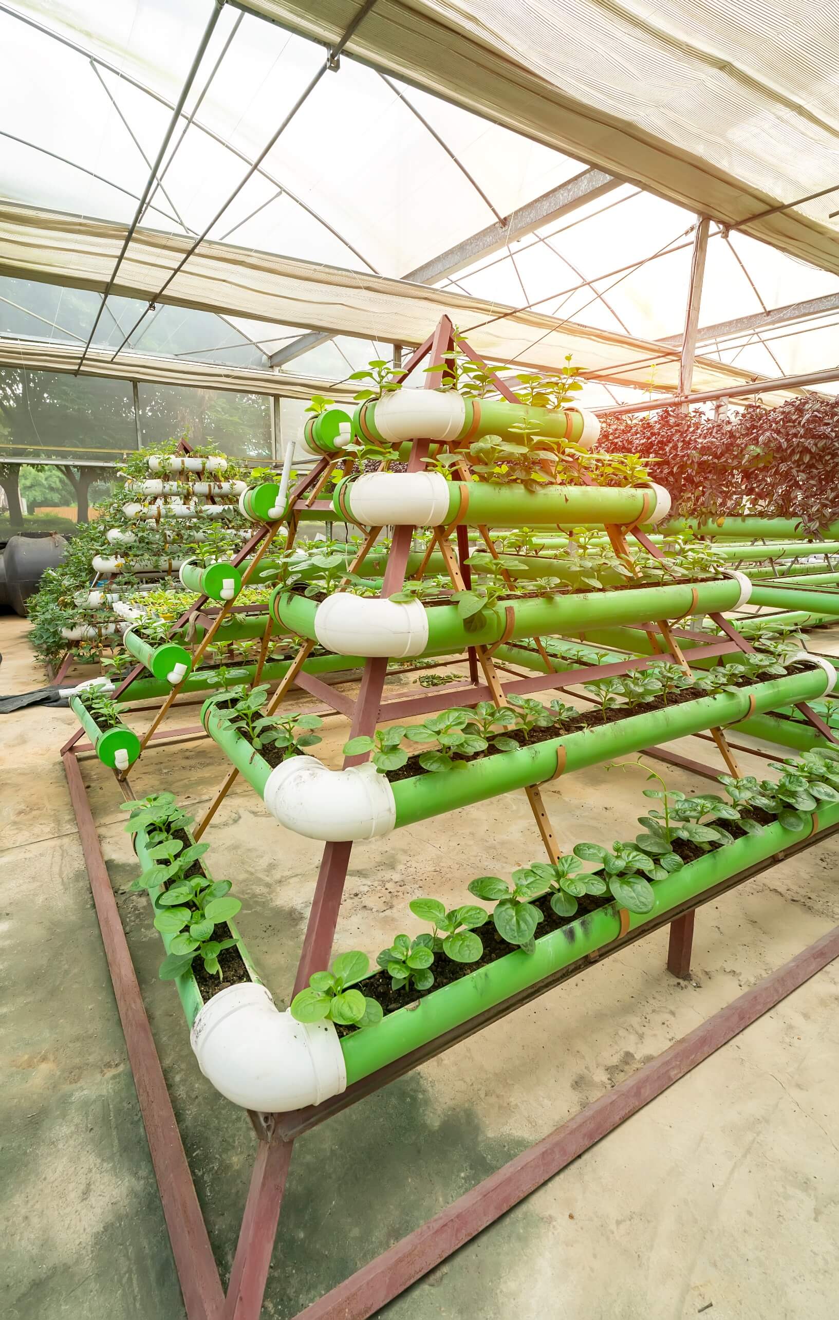 hydroponic garding 02