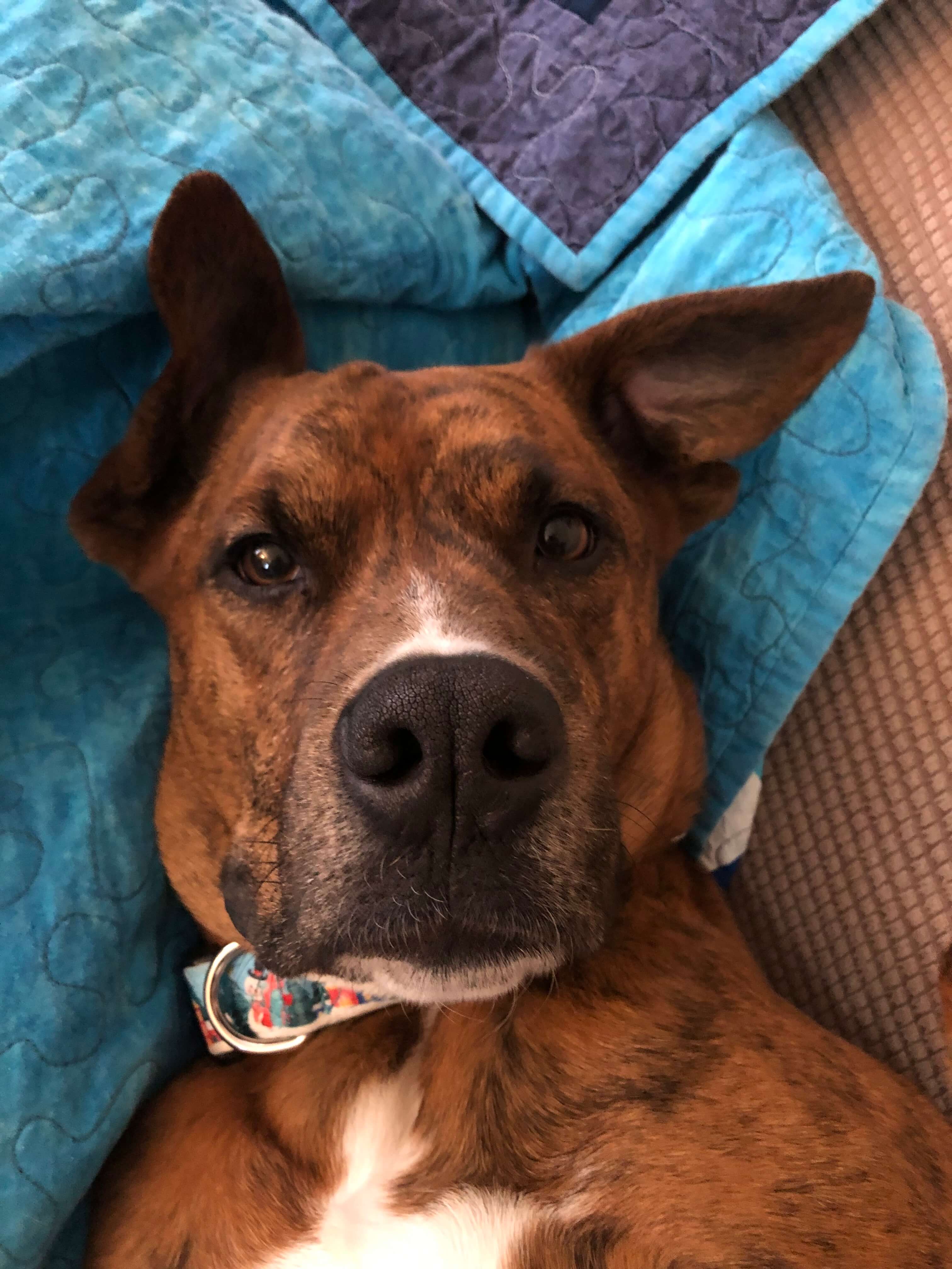 About_Us_Lilo About_Us_Lilo